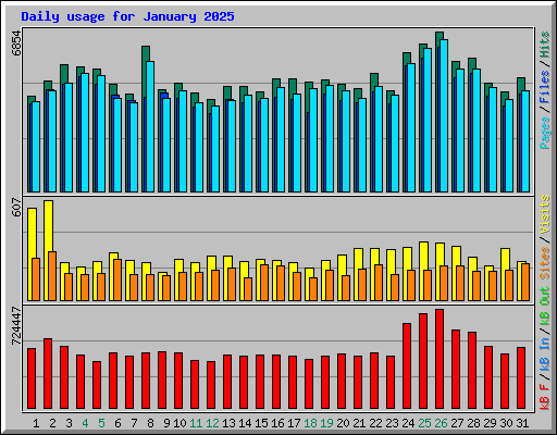 Daily usage for January 2025