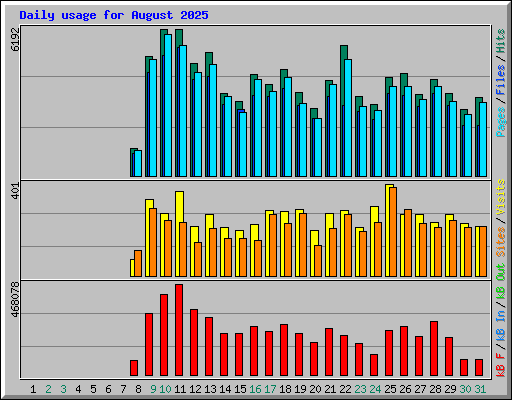 Daily usage for August 2025