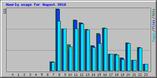 Hourly usage for August 2016