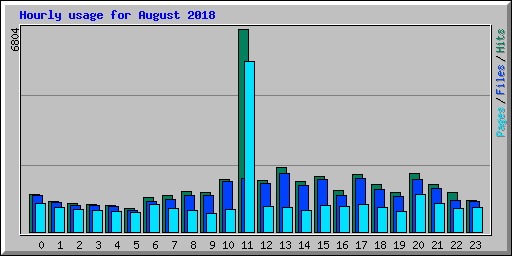 Hourly usage for August 2018