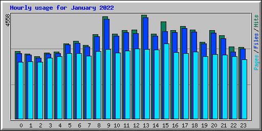 Hourly usage for January 2022