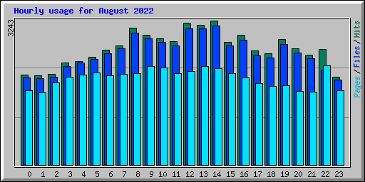 Hourly usage for August 2022