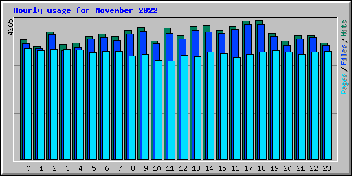 Hourly usage for November 2022
