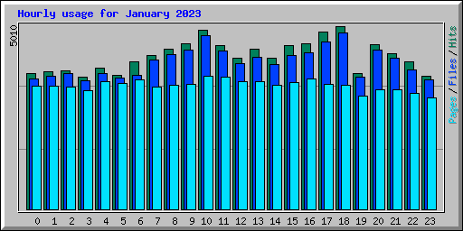 Hourly usage for January 2023