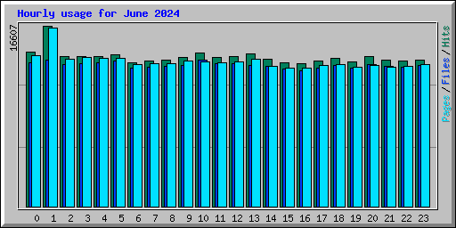 Hourly usage for June 2024