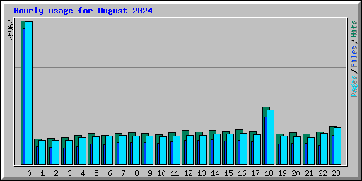 Hourly usage for August 2024