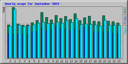 Hourly usage for September 2024
