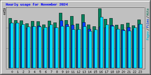 Hourly usage for November 2024