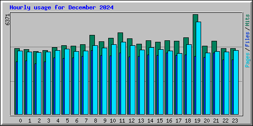 Hourly usage for December 2024