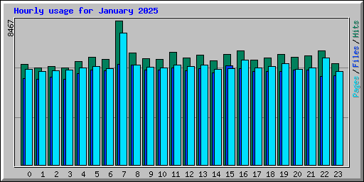 Hourly usage for January 2025