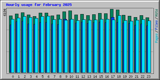 Hourly usage for February 2025