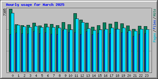 Hourly usage for March 2025