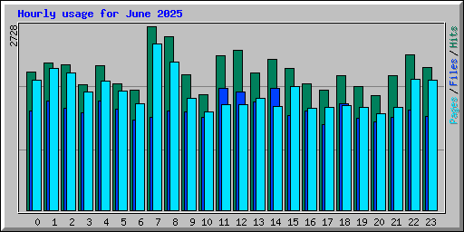 Hourly usage for June 2025