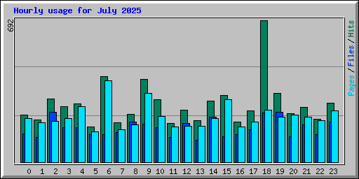 Hourly usage for July 2025