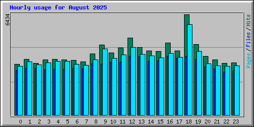 Hourly usage for August 2025