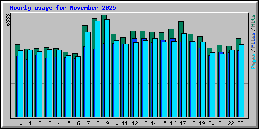 Hourly usage for November 2025