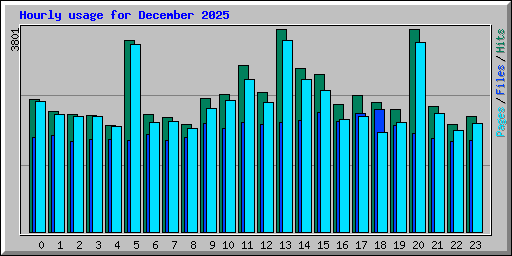 Hourly usage for December 2025