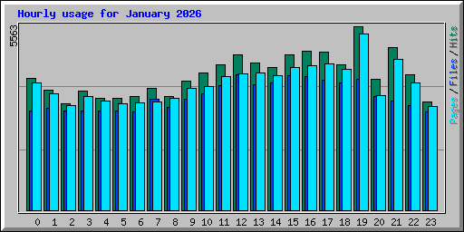 Hourly usage for January 2026