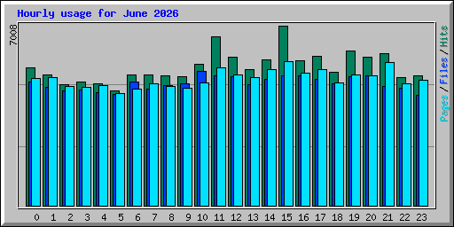 Hourly usage for June 2026